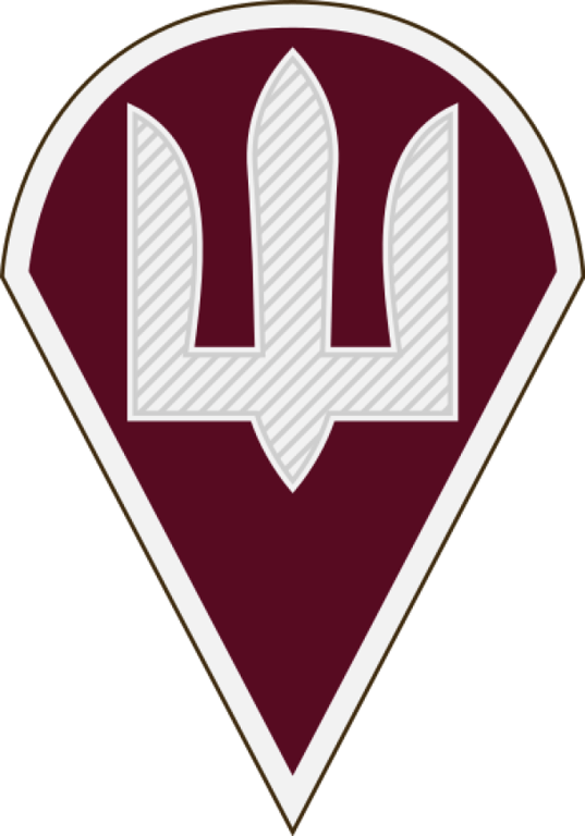 Военный шеврон Десантно-штурмовых войск