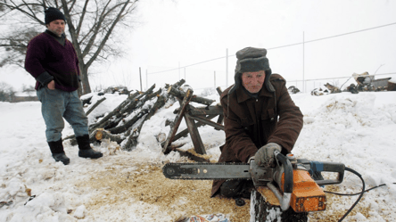 Сухостій біля залізниці — чи можна забирати на дрова у 2026 році - 285x160
