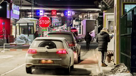 Перетин кордону з товарами — що можна перевозити через "червоний коридор" - 290x166