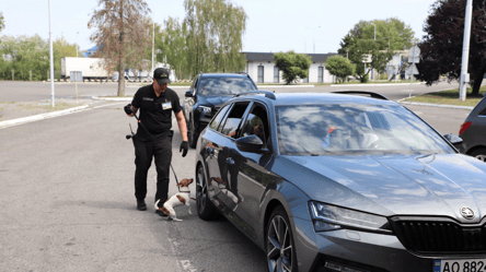 Скупчення автівок на виїзді до Польщі та Угорщини: черги на кордоні - 290x166
