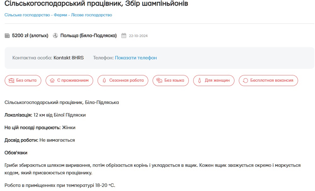 Сколько платят украинцам в Польше