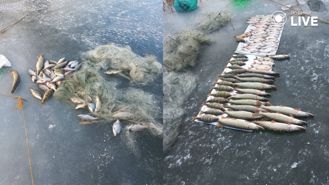 На озере в Одесской области разоблачили рыбных браконьеров