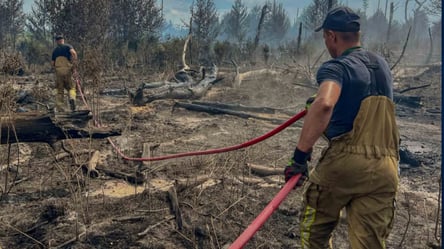 ДСНС повідомила про ситуацію з пожежами в Чорнобильській зоні - 285x160