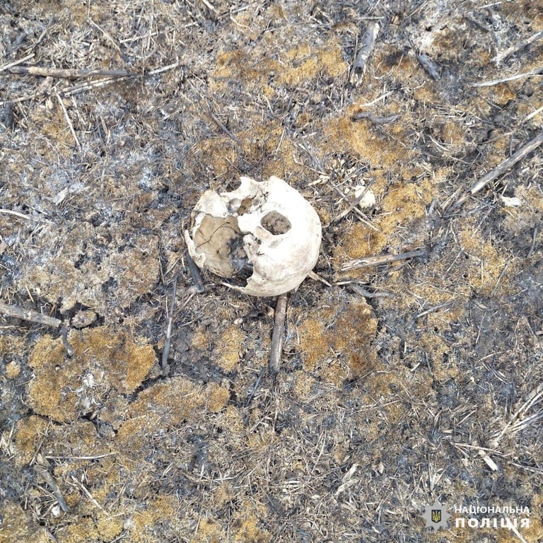Рештки тіла знайдені на Харківщині. Фото: поліція Харківської області