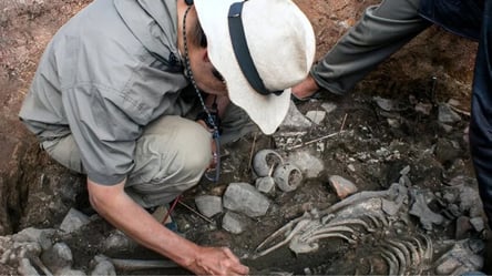 В Польщі знайшли моторошну могилу дитини-"вампіра" із замком на нозі: фото - 285x160