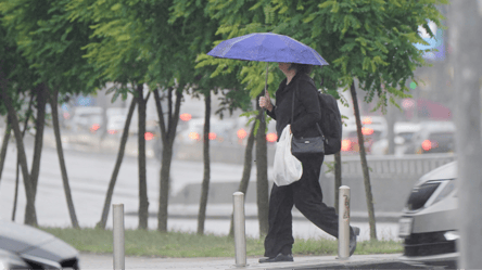 Погода резко испортится: завтра Киев зальет дождями - 290x166