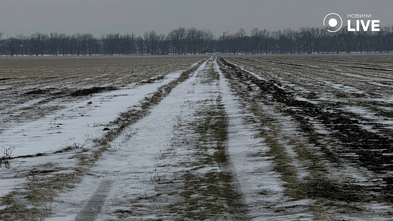 Виснажений ґрунт та зледеніння – чи буде врожай на Одещині у 2026 - фото 6