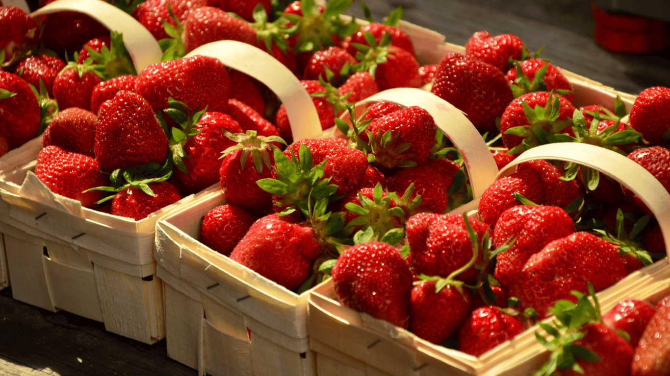 Гарний врожай полуниці.