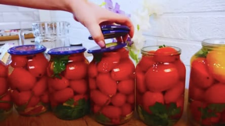 Маринованные помидоры на зиму на скорую руку: любимая консервация и искренняя рекомендация - 285x160