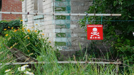 Вибух на подвір'ї — на Миколаївщині постраждав чоловік - 285x160