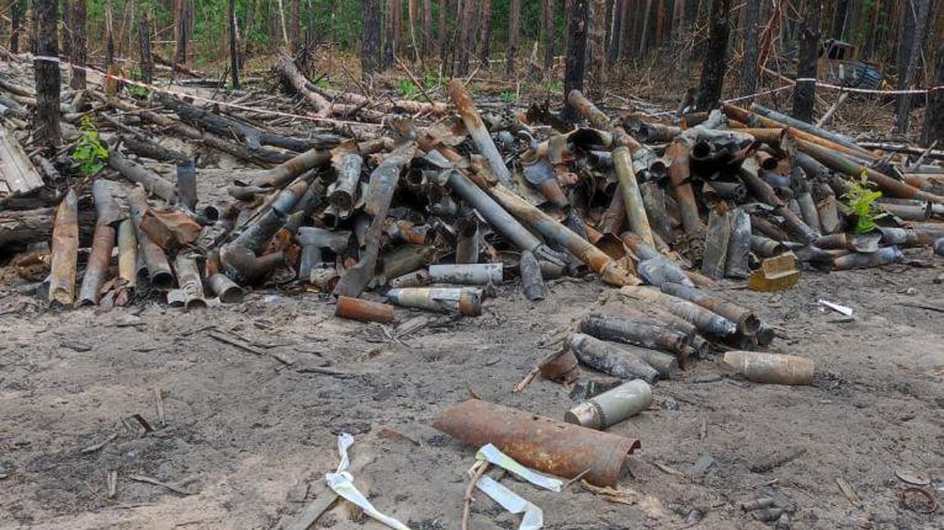 Эксперты из Нидерландов помогут разминировать леса Киевщины