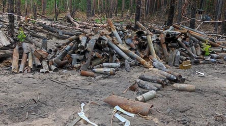 Експерти з Нідерландів допоможуть розмінувати ліси Київщини - 285x160