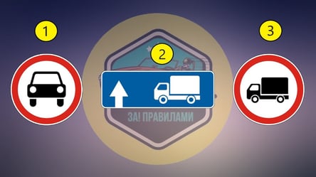 Хитрый тест ПДД: какой знак разрешает проезд грузовиков - 285x160