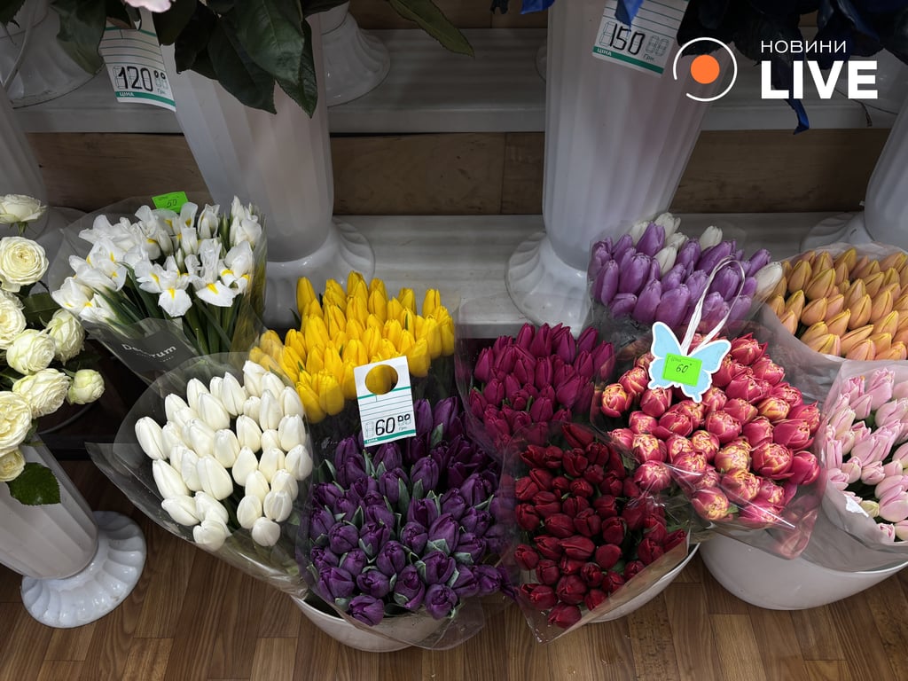 Тюльпани за 60 грн