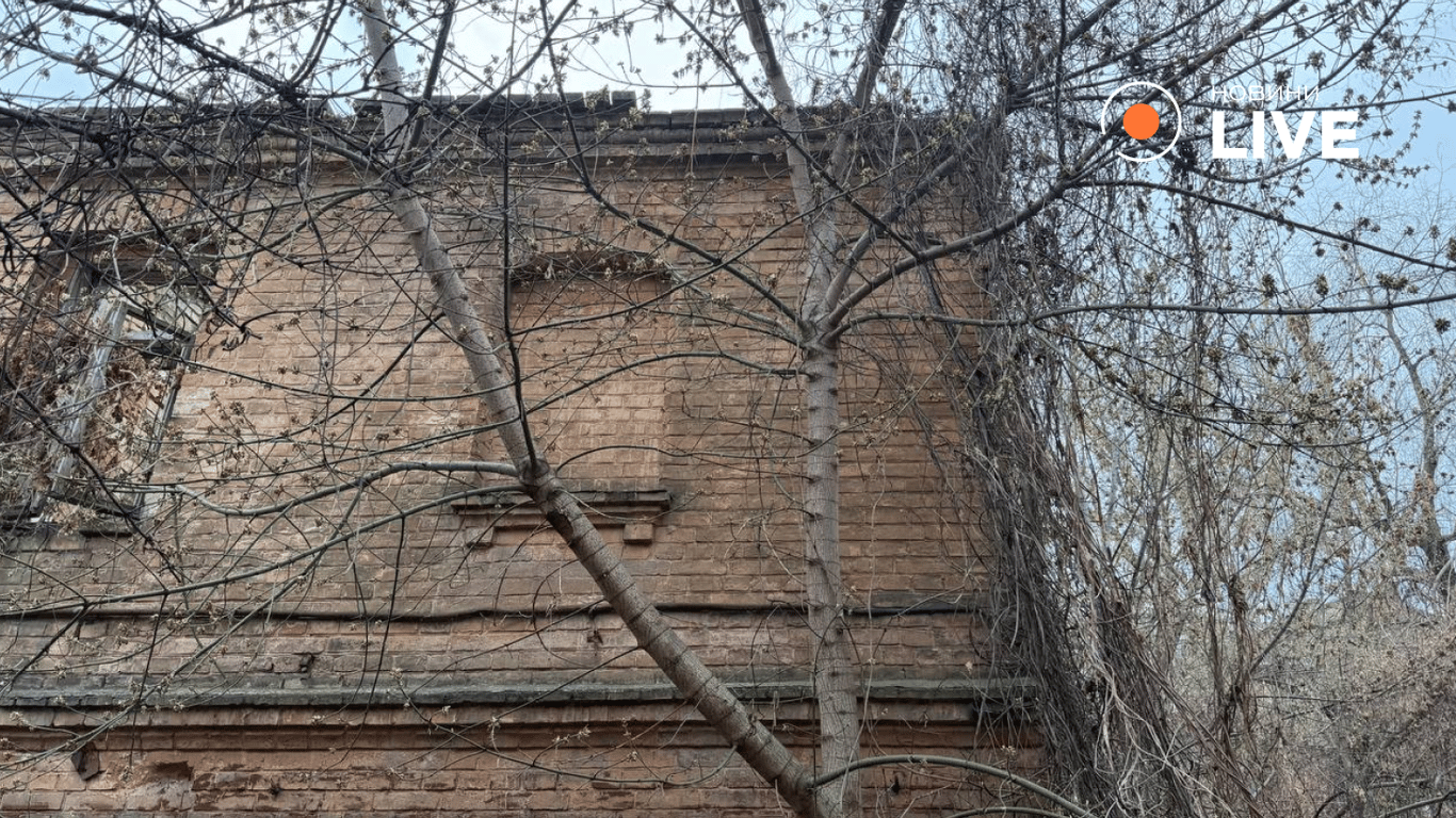 Який вигляд сьогодні має садиба Шишкіна у Києві