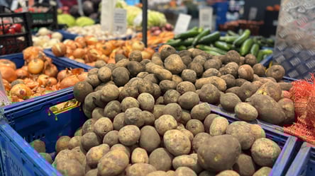 Цей овоч дуже вигідно купувати — які ціни побачать українці в супермаркетах - 285x160