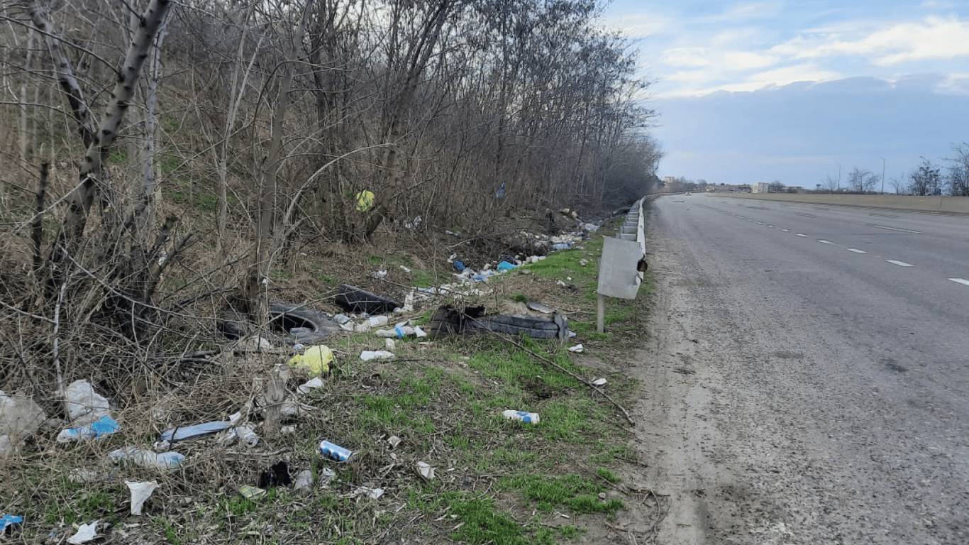 Траса Одеса-Київ потопає у смітті — екологи звернулись до служби інфраструктури