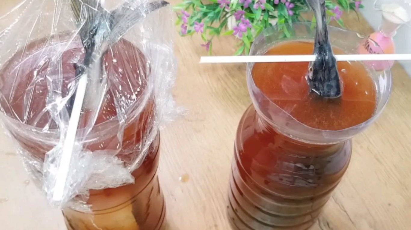 скумбрія як копчена без коптильні