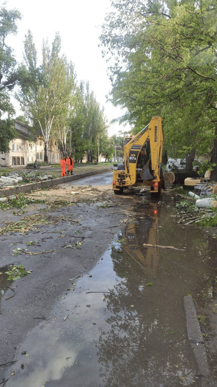Наслідки негоди — в Одесі від вітру впали 10 дерев - фото 2