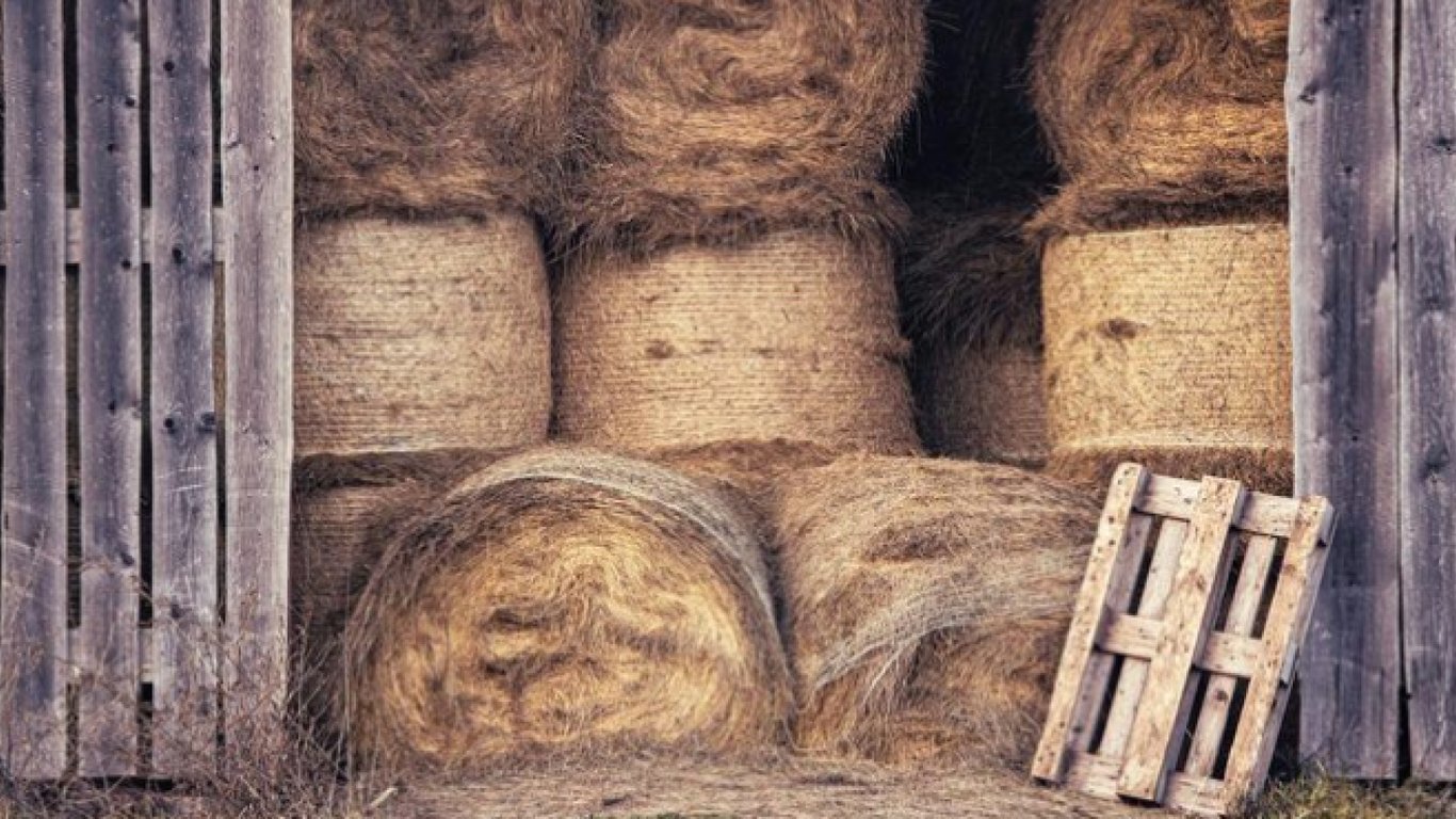 Сіно у рулонах зберігається в сараї.