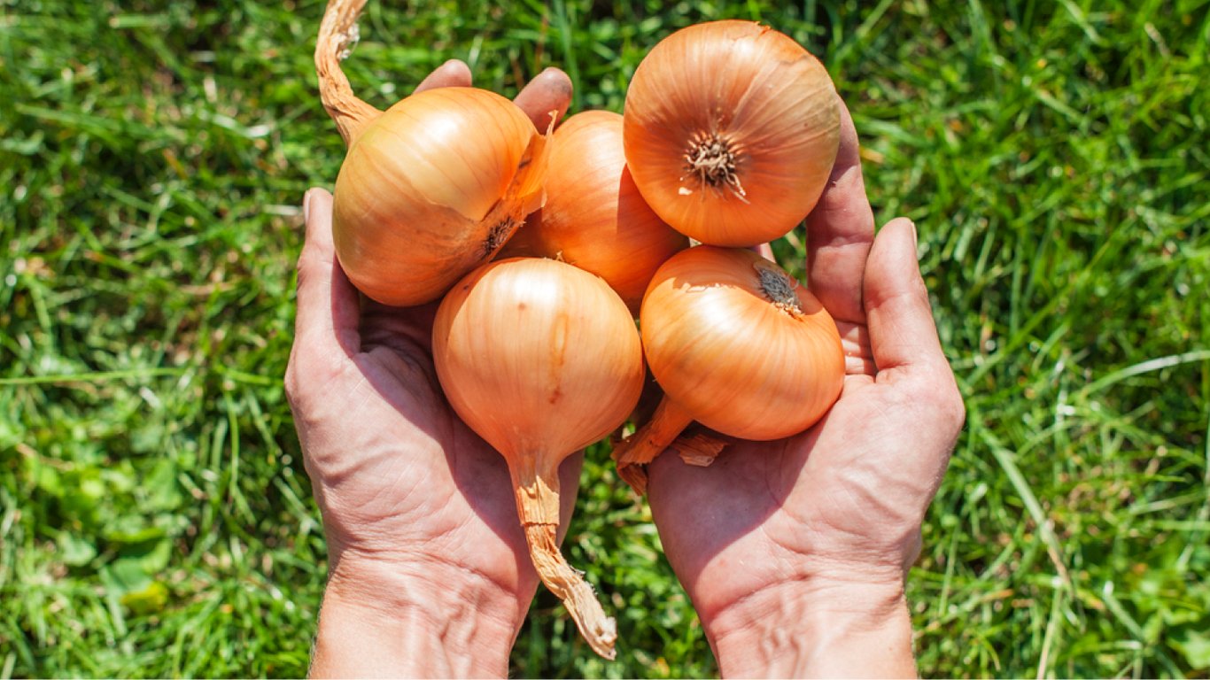 Народні прикмети та традиції на 18 жовтня