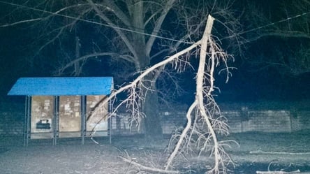 Збиті "Шахеди" та зруйновані будинки: наслідки нічної атаки рф по Дніпропетровщині - 285x160