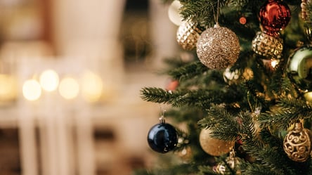 Настоящий рождественский аромат — как удержать запах елки дома - 285x160