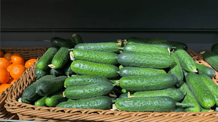 Цены кусаются: сколько стоят огурцы в супермаркетах - 285x160