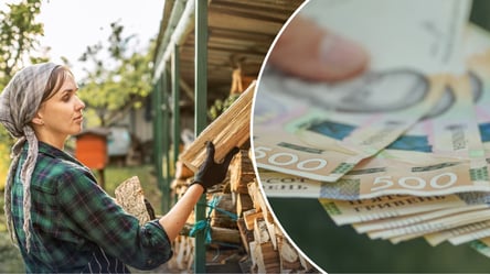 Гроші на дрова від Карітас: хто має право та список документів - 285x160