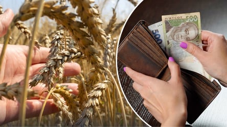 Цены на пшеницу — что сейчас происходит на зерновом рынке - 285x160