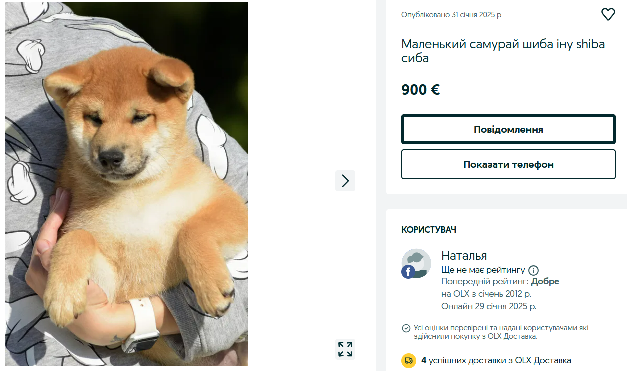 Элита среди собак — сколько стоят редкие породы на OLX - фото 3