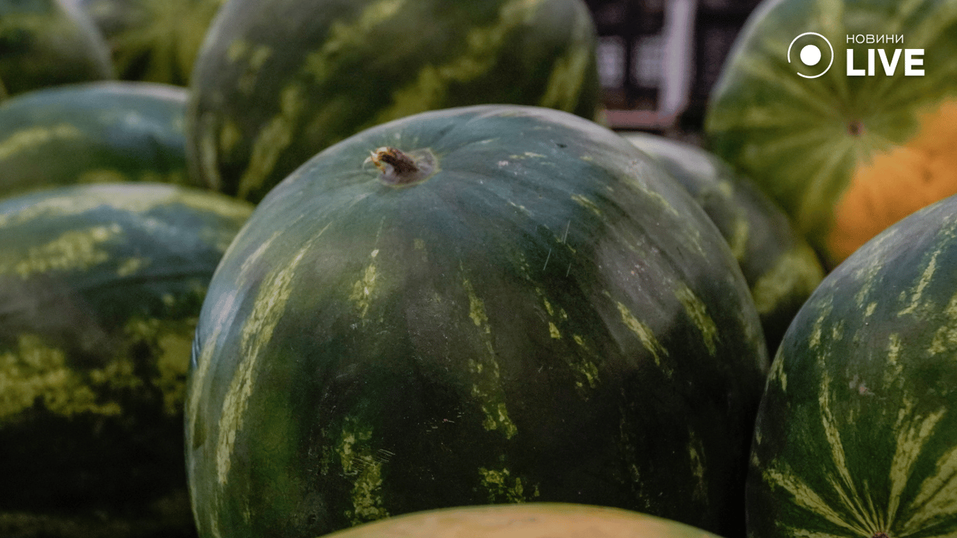 Кавун на прилавку базару 