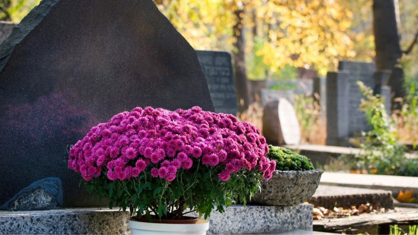 Що можна садити на кладовищі — список квітів, які виживуть за будь-яких умов