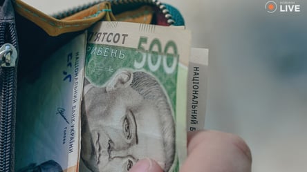 Штраф у 20% заробітку — для українців запровадять нове покарання - 285x160