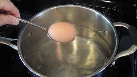 Не виливайте воду після варіння яєць — для яких корисних речей вона згодиться - 285x160