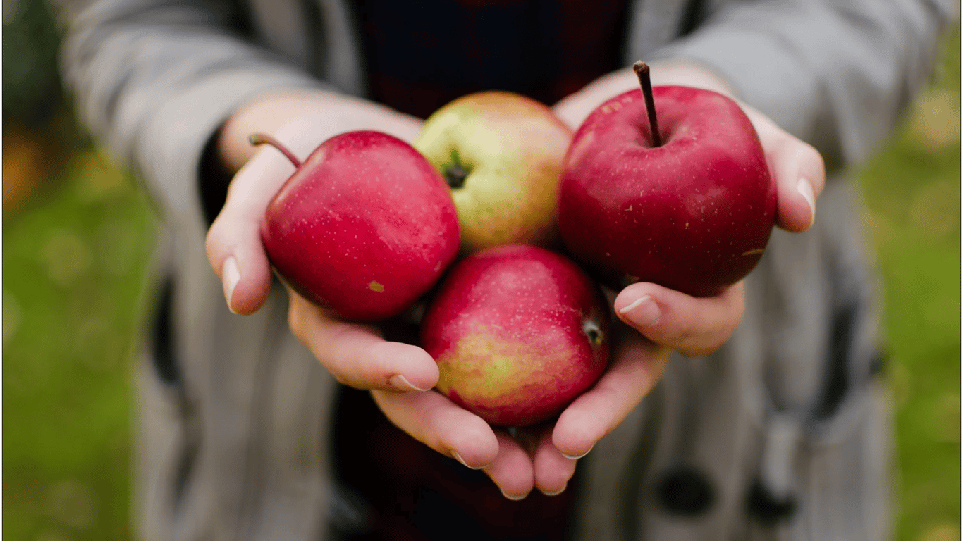 Допоможуть схуднути: вагомі причини їсти яблука регулярно