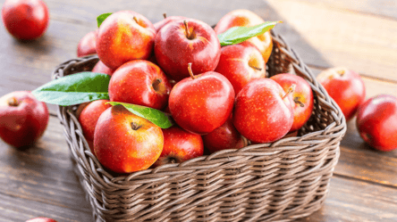 Заморожування яблук без втрати смаку — покрокова інструкція - 285x160