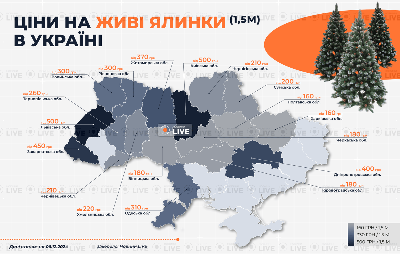 Штучна ялинка проти справжньої — що вигідніше купити українцям - фото 1