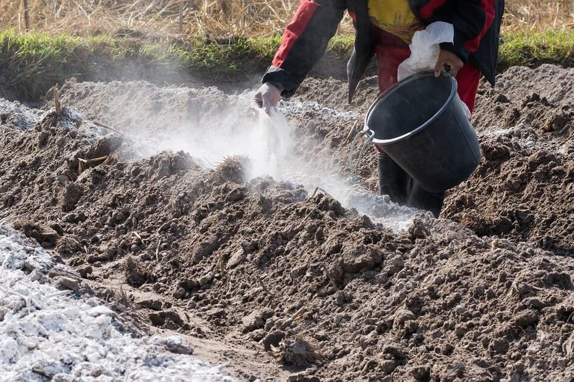 Огородные работы