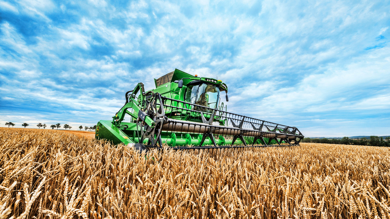 Цены на зерновые в Украине 2023