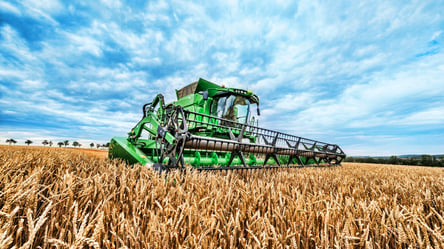Что происходит на рынке зерна в Украине: цены на пшеницу, кукурузу, ячмень и подсолнечник - 285x160