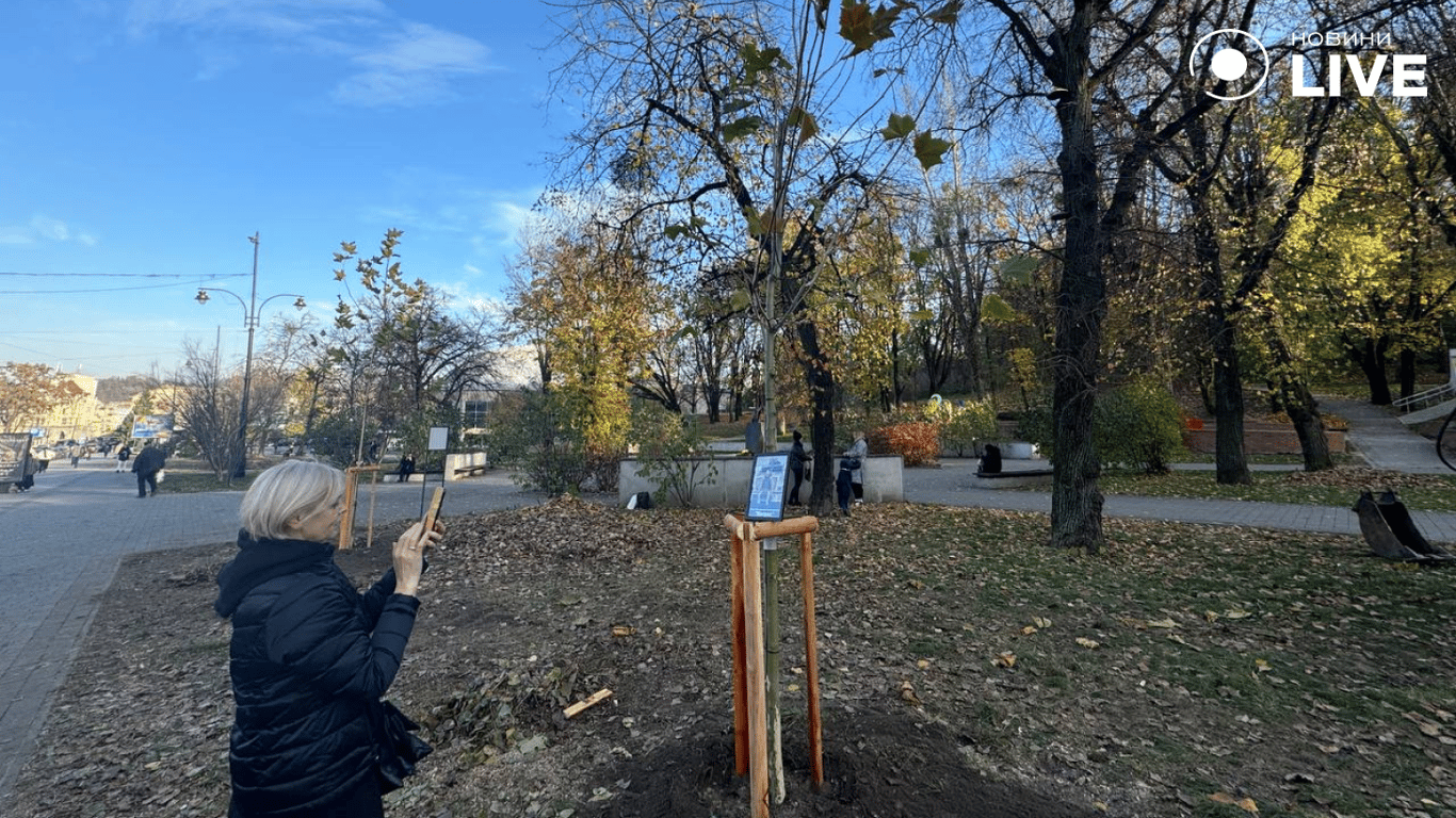 Зеленые мемориалы: во Львове почтили память погибших военных