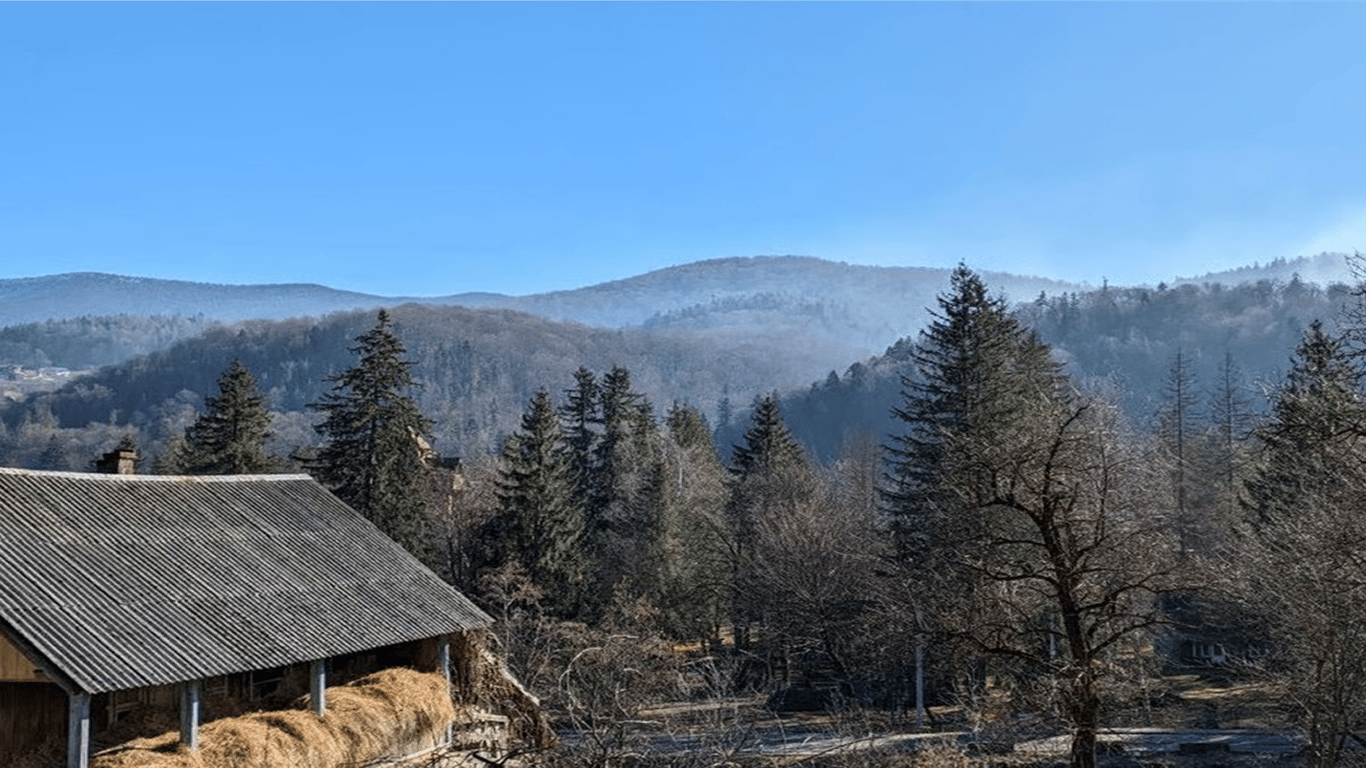 Дешевий відпочинок у Карпатах навесні: ціни та тури