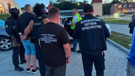 "Квиток" до Угорщини за дев'ять тисяч доларів: справу розгляне суд - 290x160
