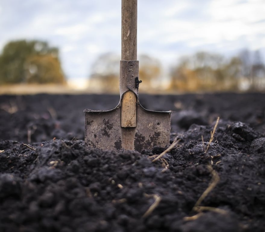 Альтернативні способи покращення ґрунту