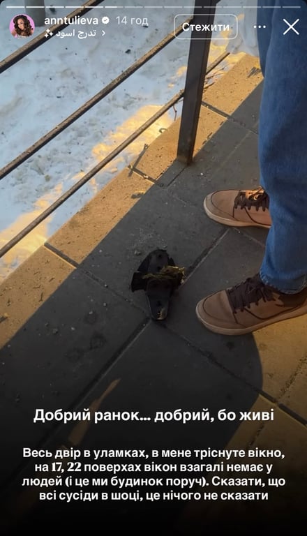 Анна Тульєва опинилася в епіцентрі удару по Києву