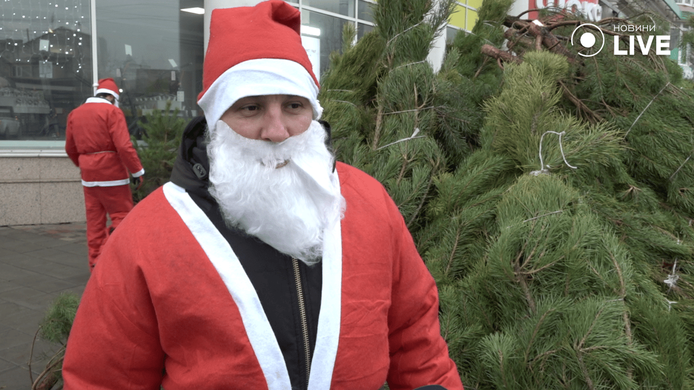 Скільки коштують ялинки в Одесі у 2025 році — огляд локацій - фото 2