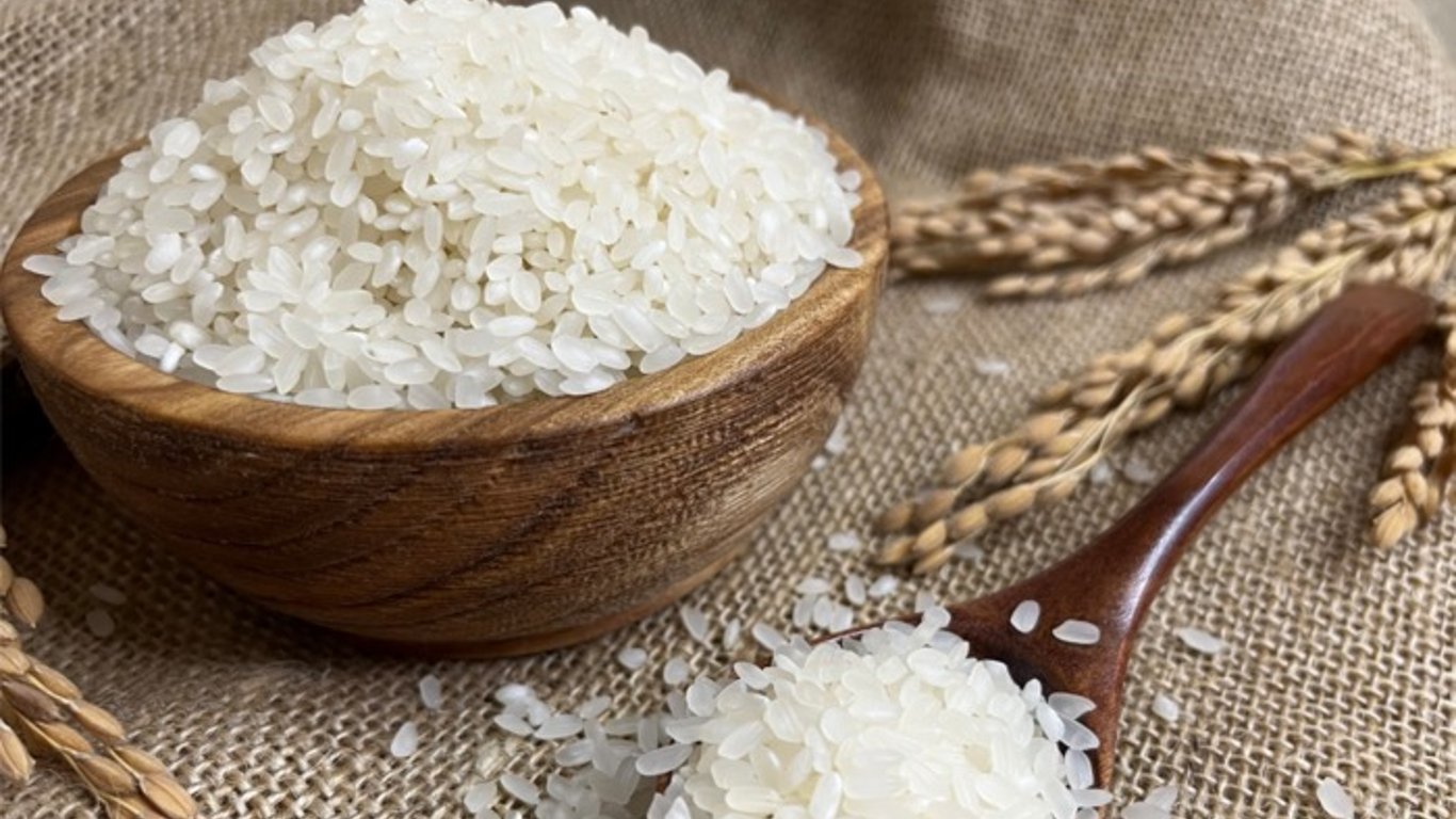 Экзотическое растение: что известно о выращивании риса в Одесской области