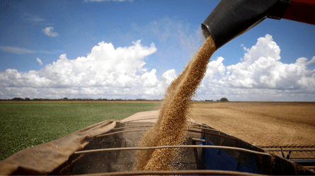 Ціни на сою в Україні різко зросли — скільки коштує зерно у травні - 285x160