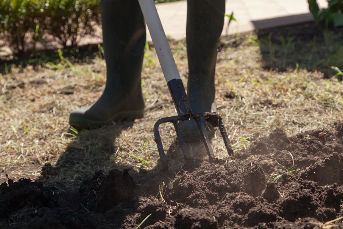 Какая разница между перегноем и компостом 